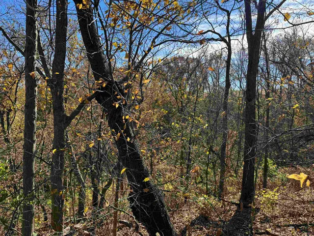 $390,000 | 11.5 M/l Acres Primrose Centre, Belleville, WI 53508