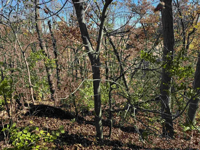 $390,000 | 11.5 M/l Acres Primrose Centre, Belleville, WI 53508