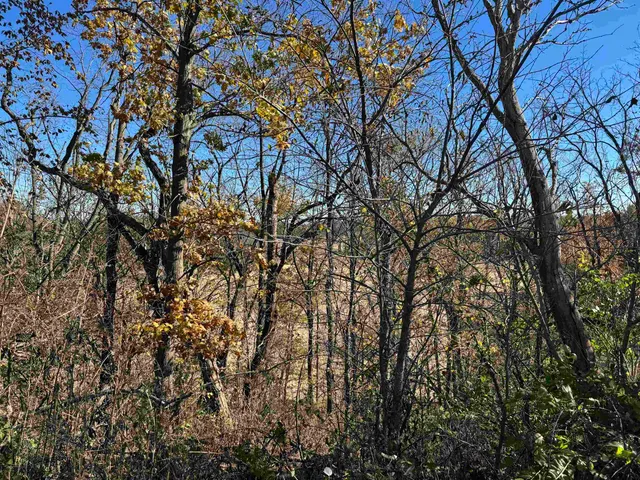 $390,000 | 11.5 M/l Acres Primrose Centre, Belleville, WI 53508