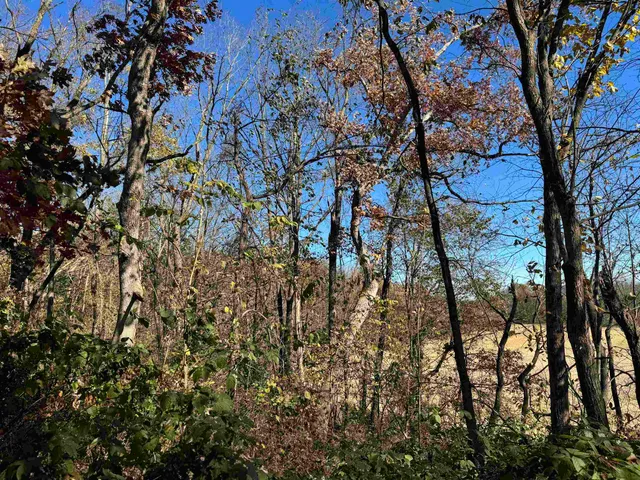 $390,000 | 11.5 M/l Acres Primrose Centre, Belleville, WI 53508