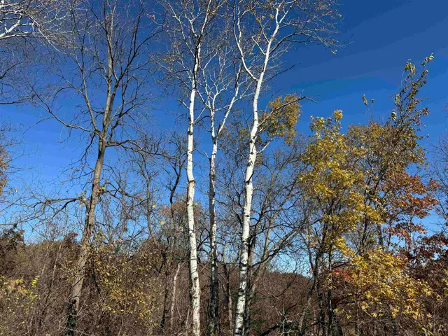 $390,000 | 11.5 M/l Acres Primrose Centre, Belleville, WI 53508