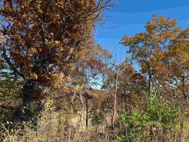 $390,000 | 11.5 M/l Acres Primrose Centre, Belleville, WI 53508