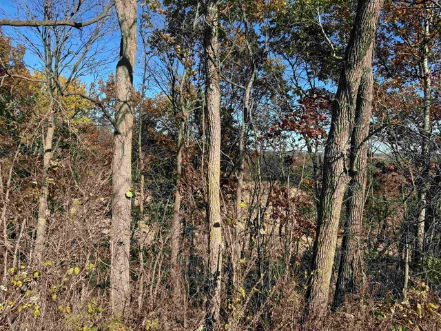 $390,000 | 11.5 M/l Acres Primrose Centre, Belleville, WI 53508