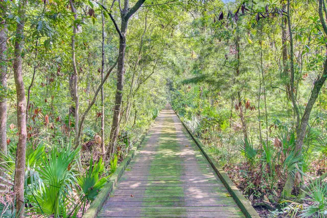 $1,575,000 | 323 Dogwood Ridge Road, Summerville, SC 29485