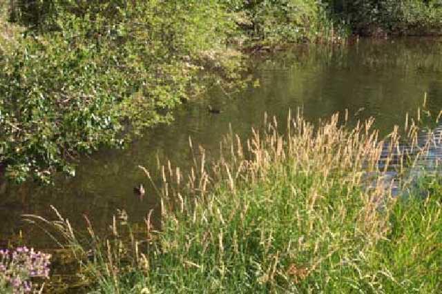 1191 Stone Road Yakima, WA 98908 - Photo 7 of 7 a view of lake