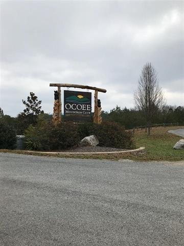 222-223 Timber Ridge Circle Ocoee, TN 37361 - Photo 1 of 1 20190096_0