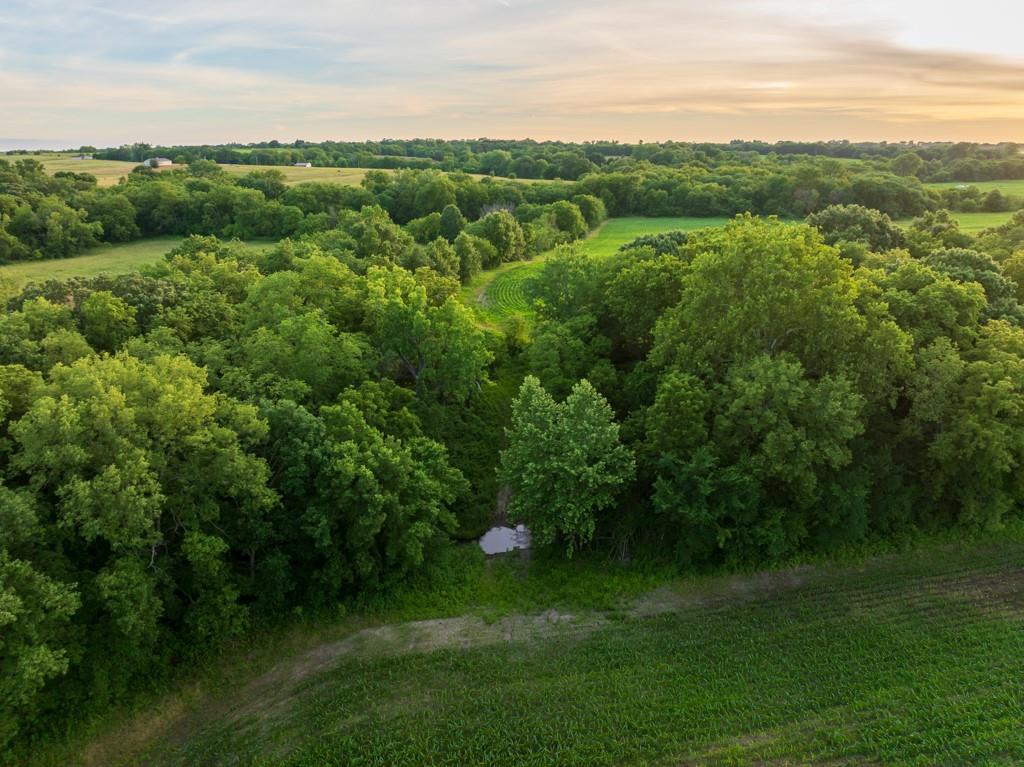 Northeast Marshall Road Hamilton, MO 64644 - Photo 11 of 45