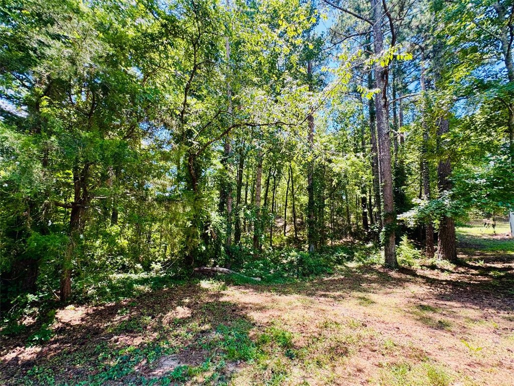 3538 Horseshoe Road Iva, SC 29655 - Photo 1 of 48