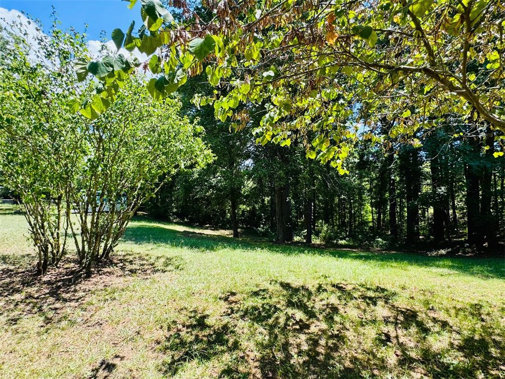 3538 Horseshoe Road Iva, SC 29655 - Photo 2 of 48