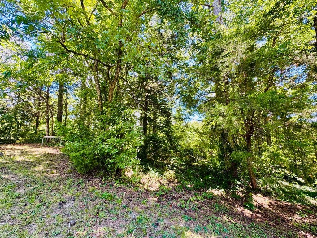 3538 Horseshoe Road Iva, SC 29655 - Photo 3 of 48