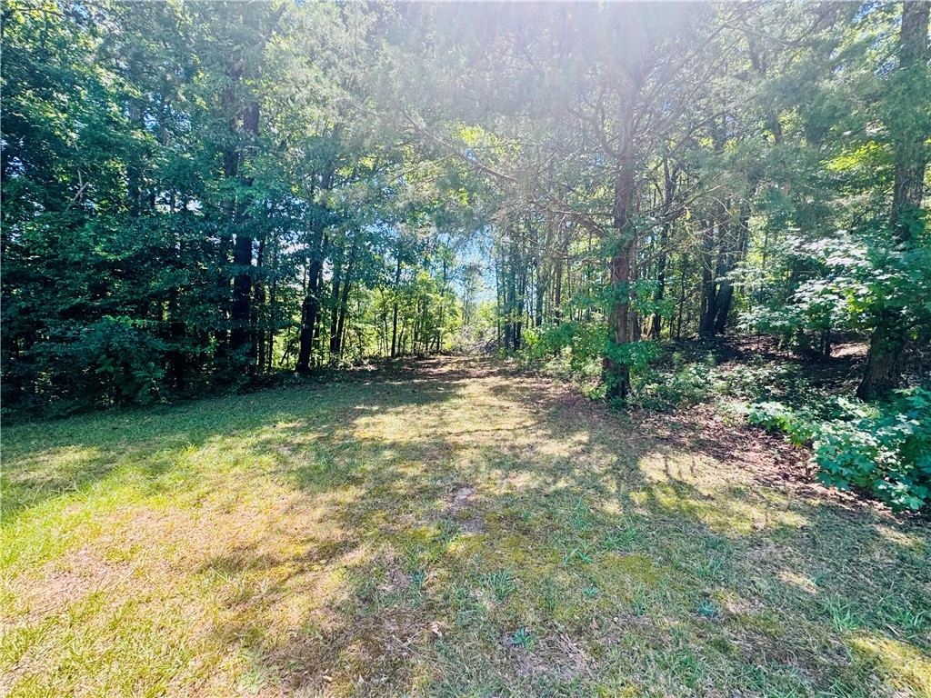 3538 Horseshoe Road Iva, SC 29655 - Photo 4 of 48