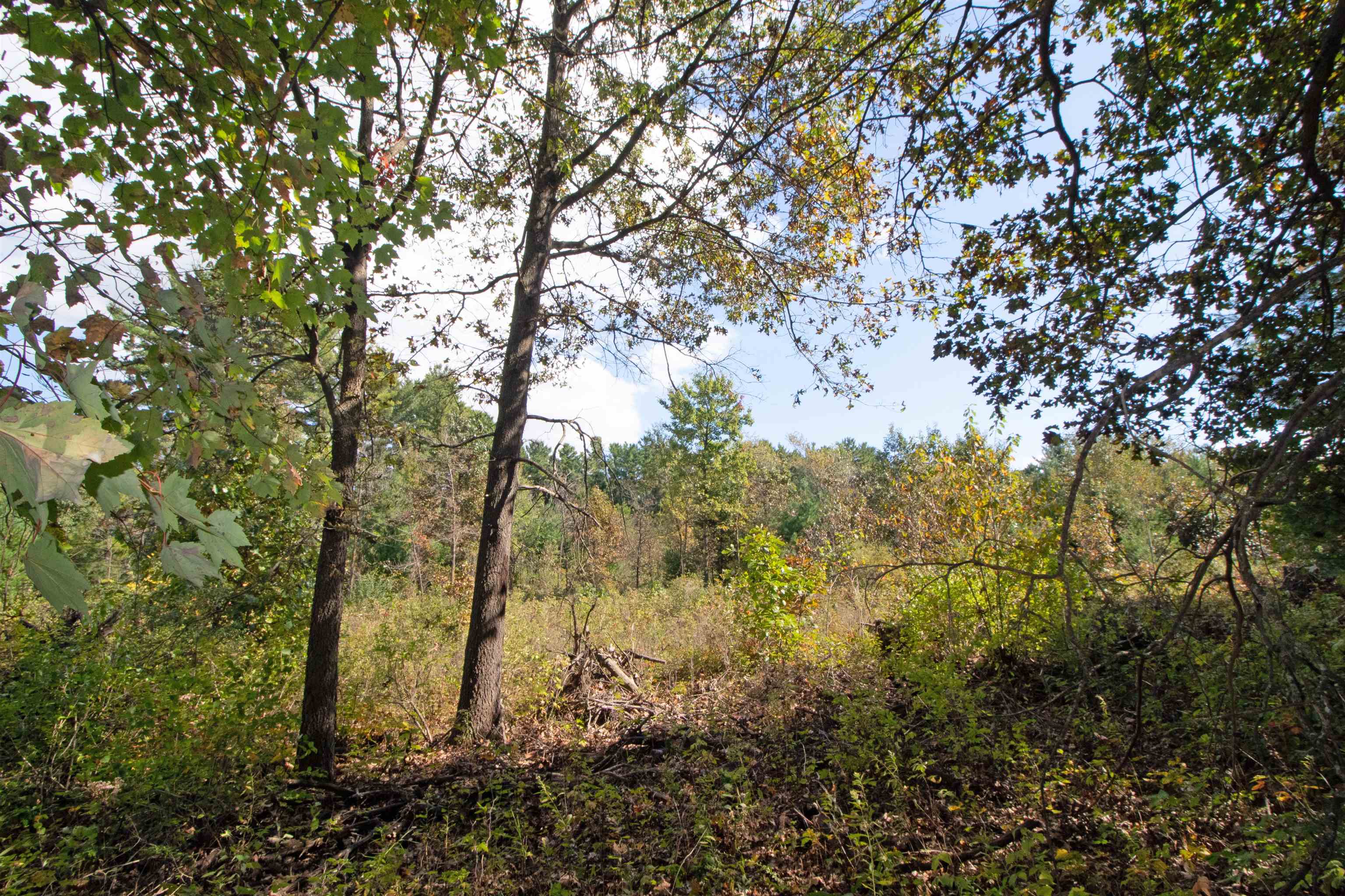 Lot 1 White Pine Spring Green Spring Green, WI 53588 - Photo 13 of 25 Gallery Image 13