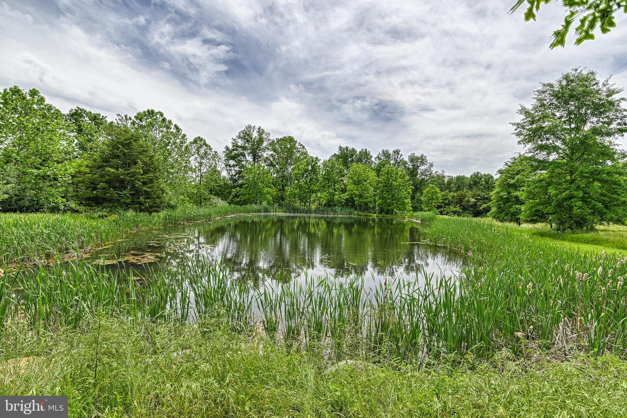 1910 Bullfrog Road Fairfield, PA 17320 - Photo 80 of 100