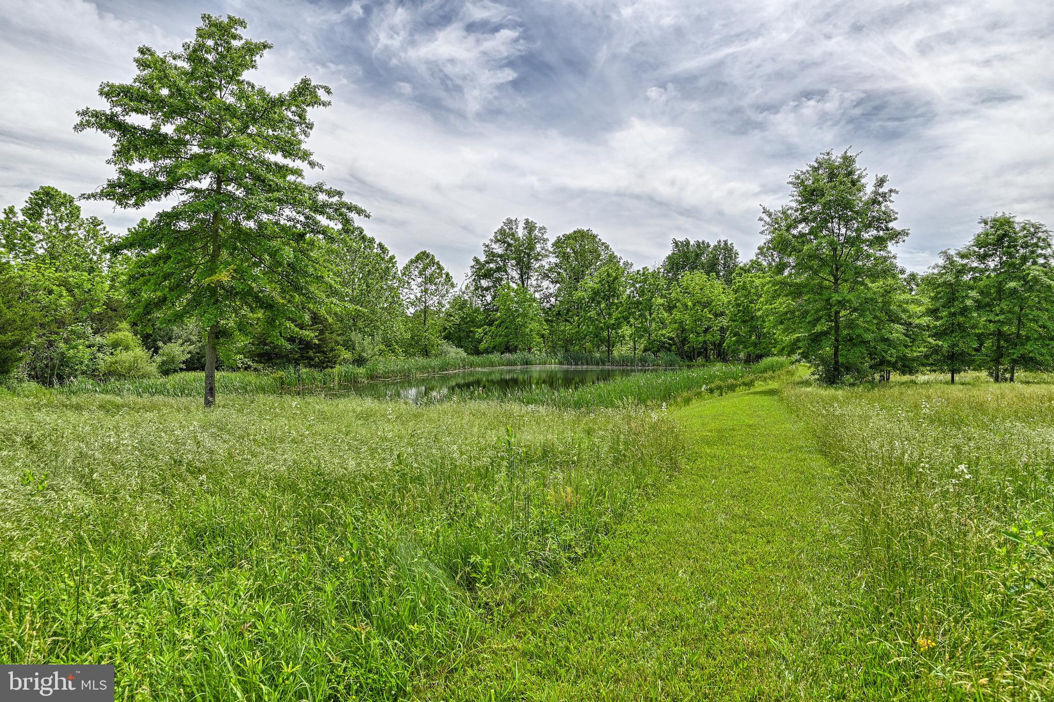 1910 Bullfrog Road Fairfield, PA 17320 - Photo 82 of 100