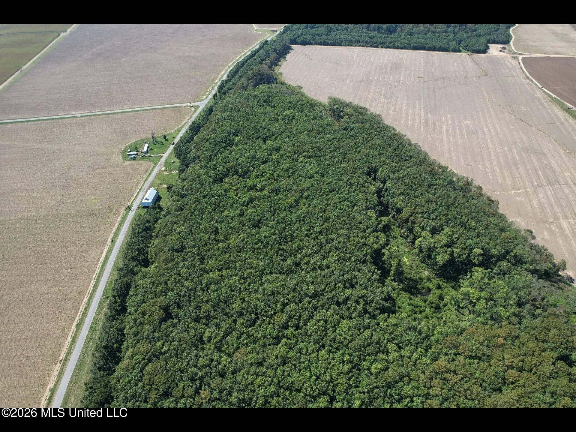 515 Co Road Schlater, MS 38952 - Photo 2 of 5 9c3b74d2df738618