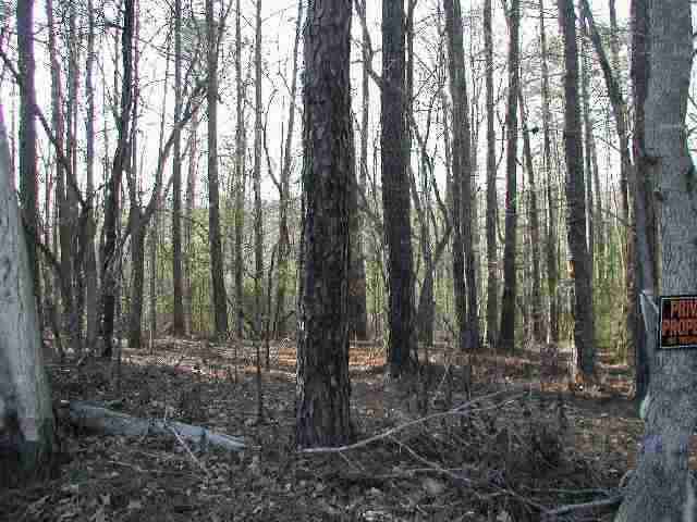 Tba Pleasant Ridge Road Carthage, NC 28327 - Photo 1 of 3 Primary Photo