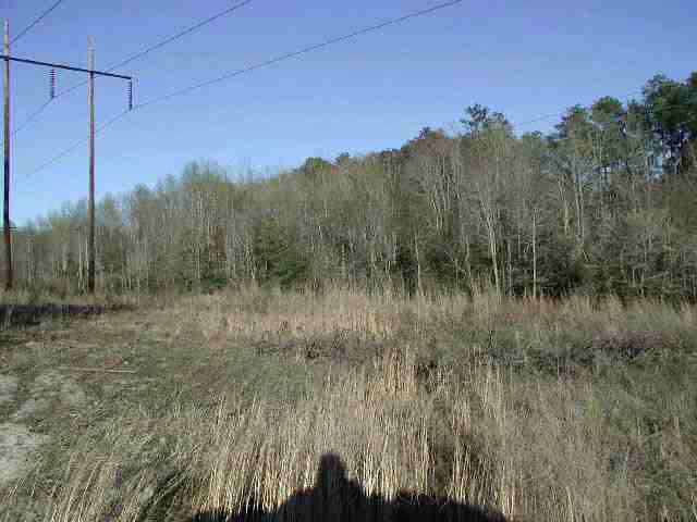 Tba Pleasant Ridge Road Carthage, NC 28327 - Photo 3 of 3 Additional Photo