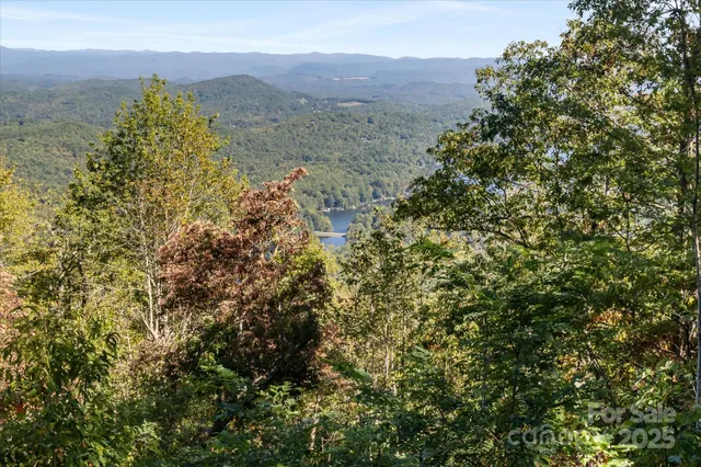 a view of a forest with a mountain in the background