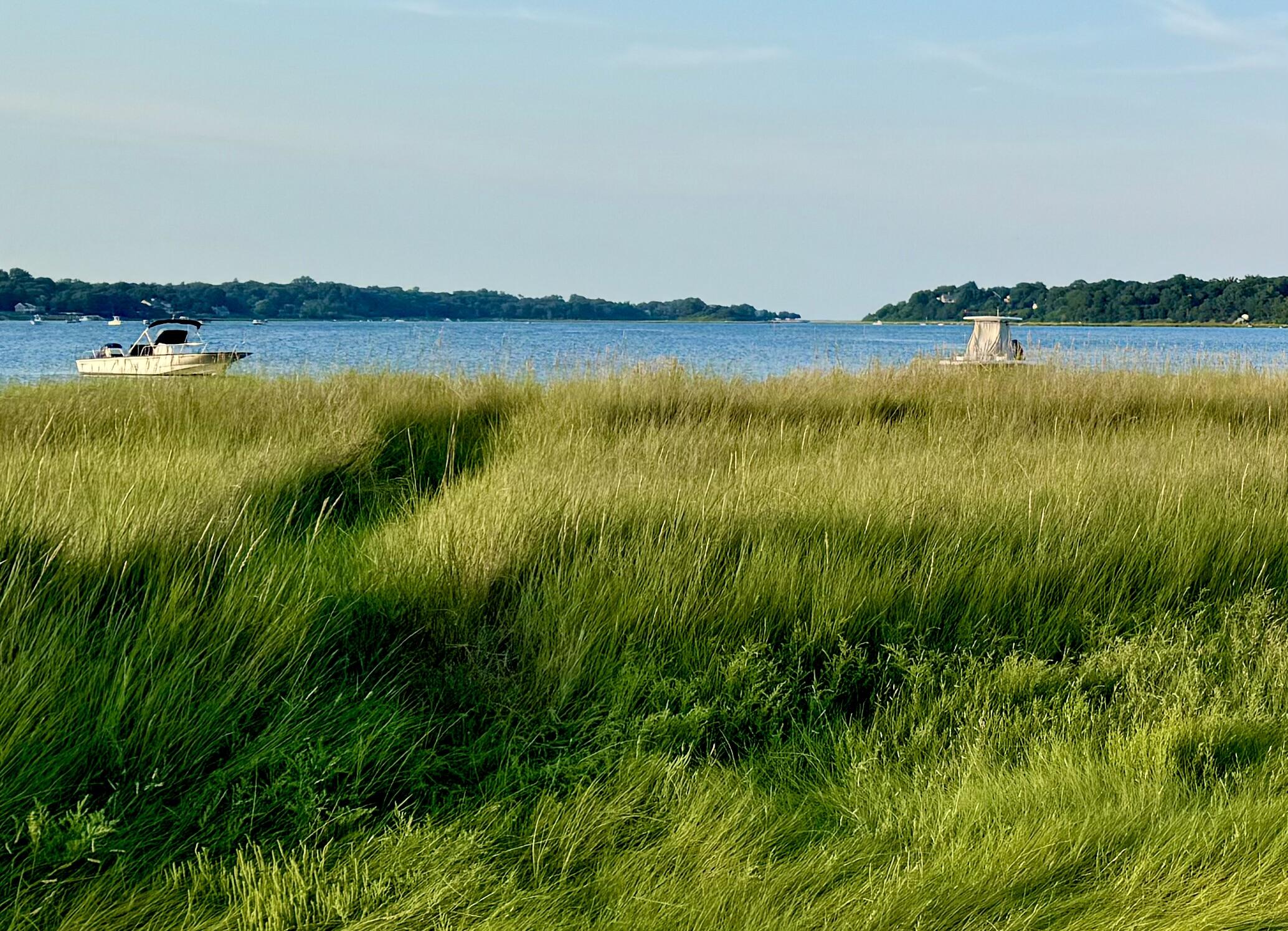 46 Tonset Road Orleans, MA 02653 - Photo 53 of 56 IMG_0754