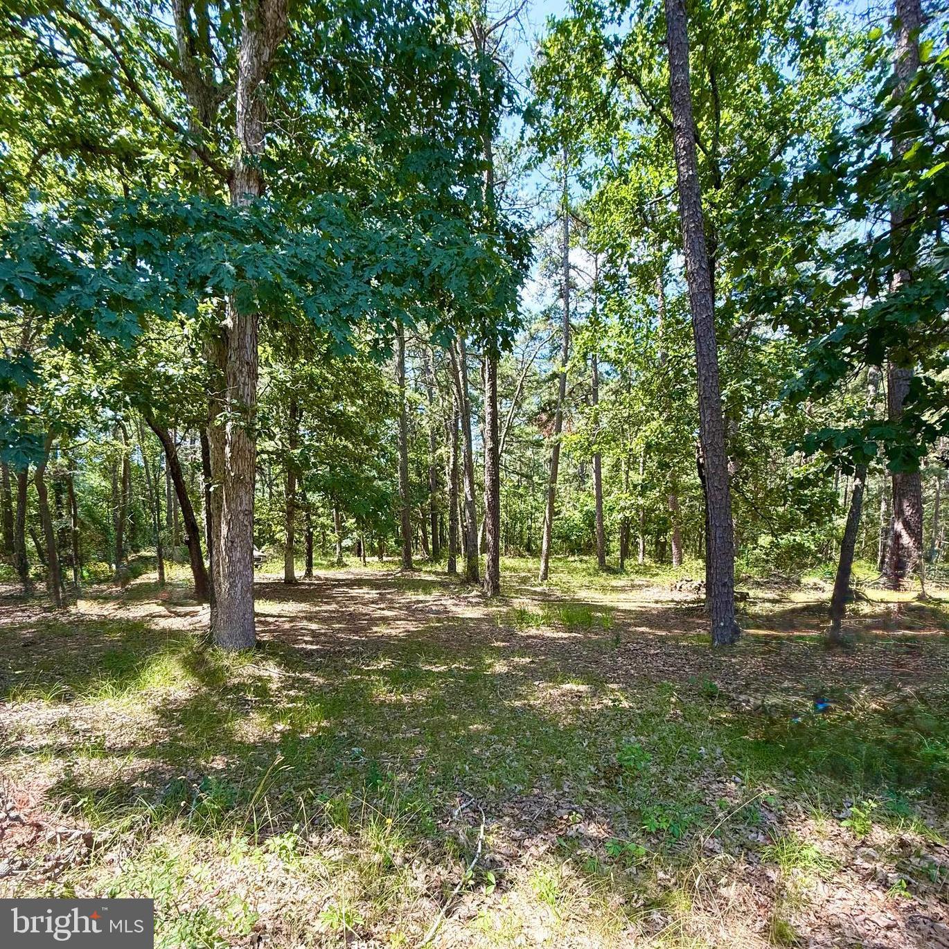 4643 Pleasant Mills Road Hammonton, NJ 08037 - Photo 25 of 30