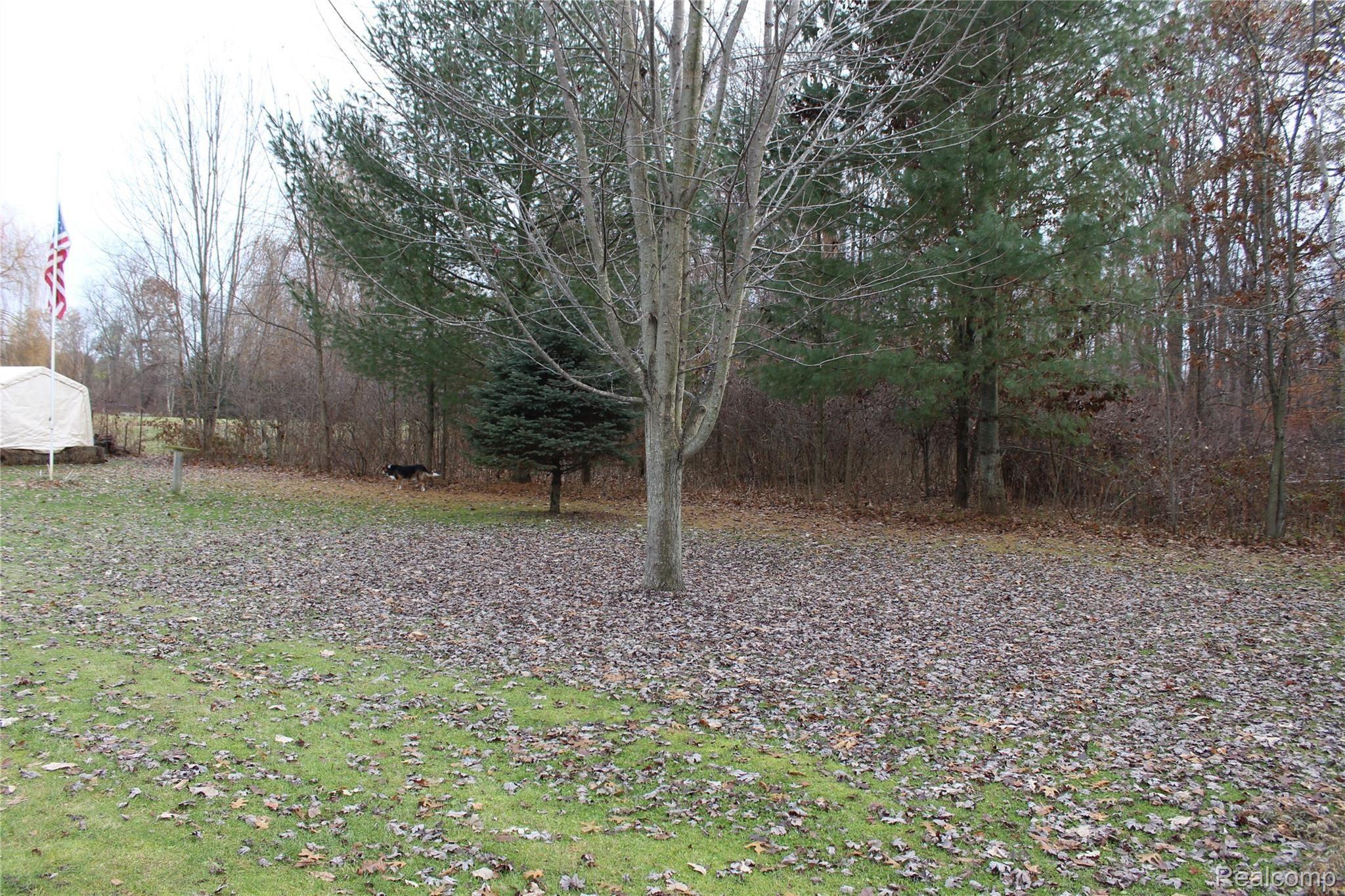 185 Coon Creek Road Allenton, MI 48002 - Photo 4 of 20 IMG_4654.JPG