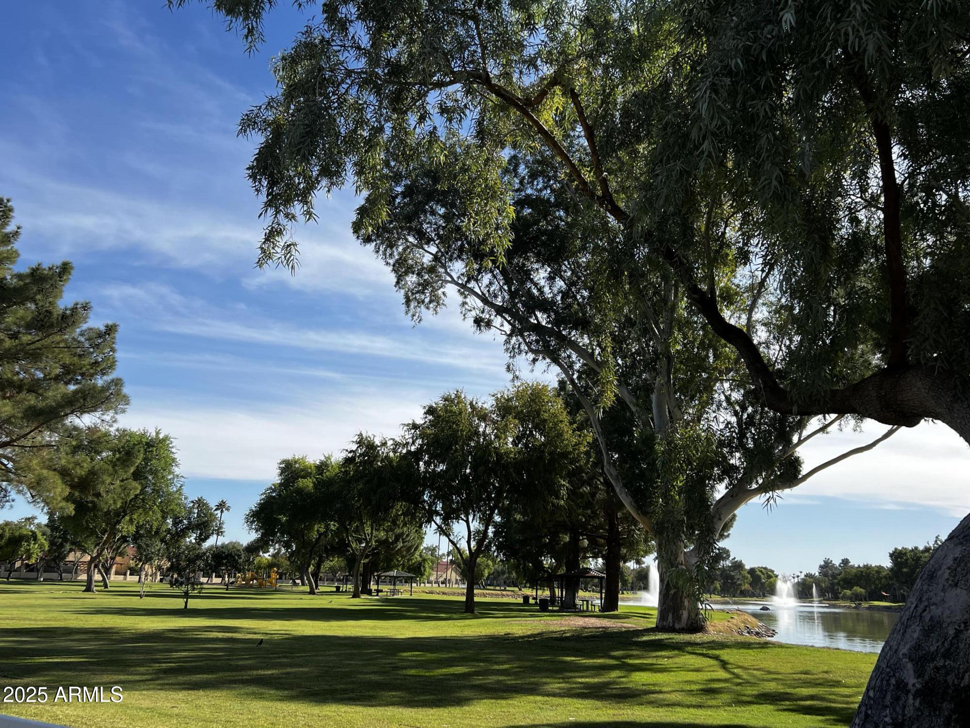 5959 West Del Rio Street Chandler, AZ 85226 - Photo 33 of 62 PARK
