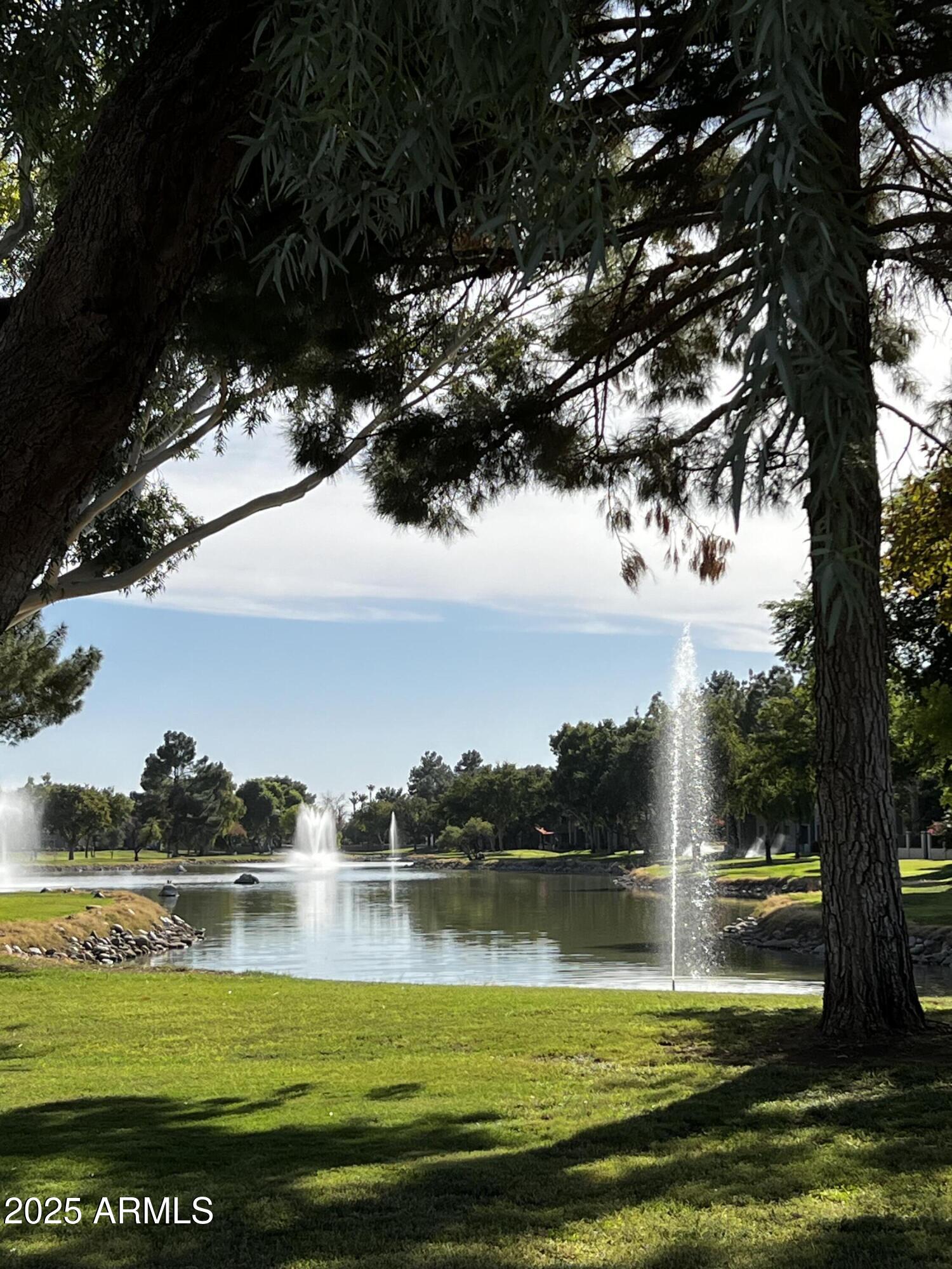 5959 West Del Rio Street Chandler, AZ 85226 - Photo 34 of 62 PARK