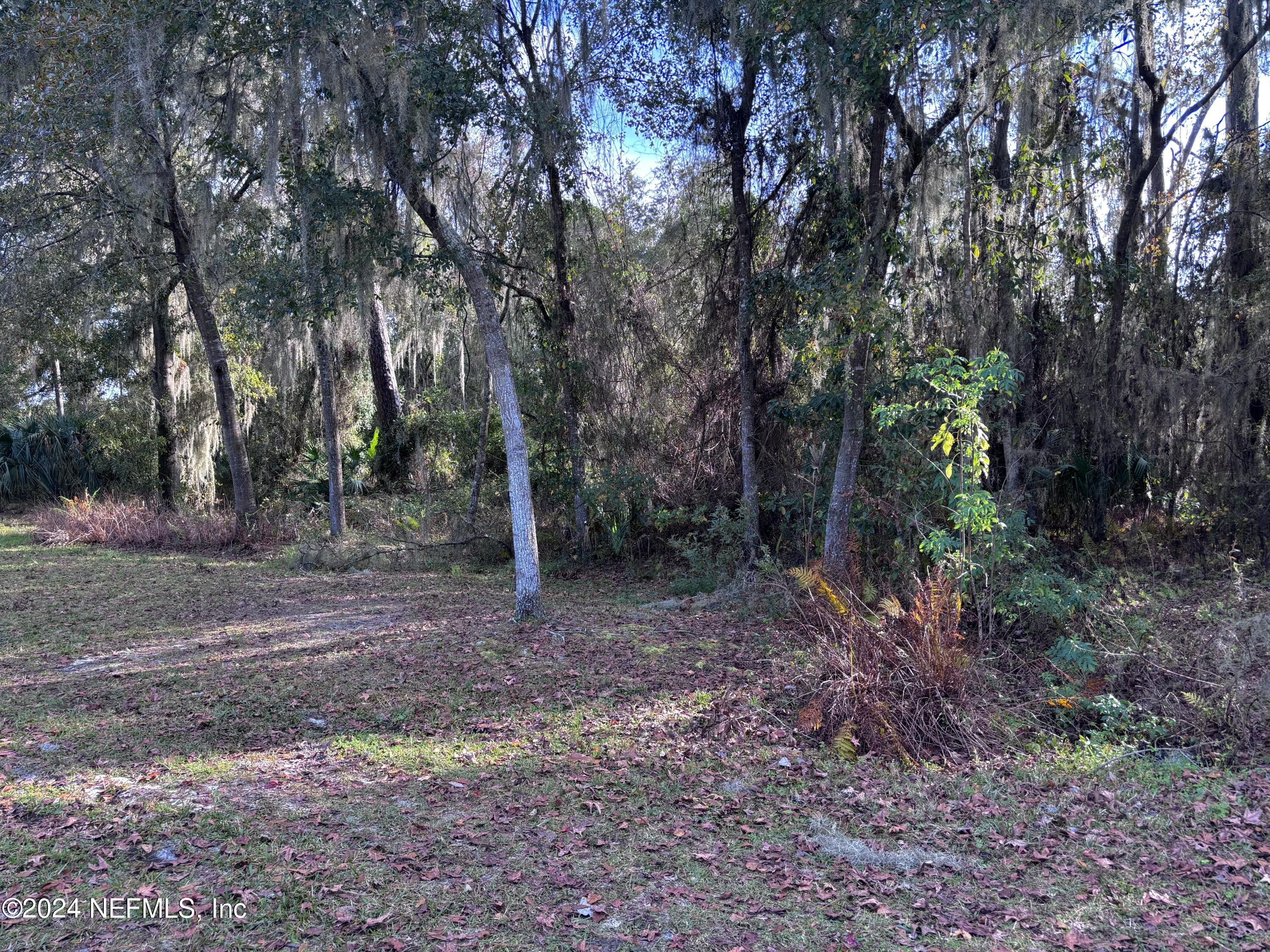 218 Pine Drive Crescent City, FL 32112 - Photo 4 of 9 99549B86-C379-463E-BBCE-EFA0C3A75B7A_1_2