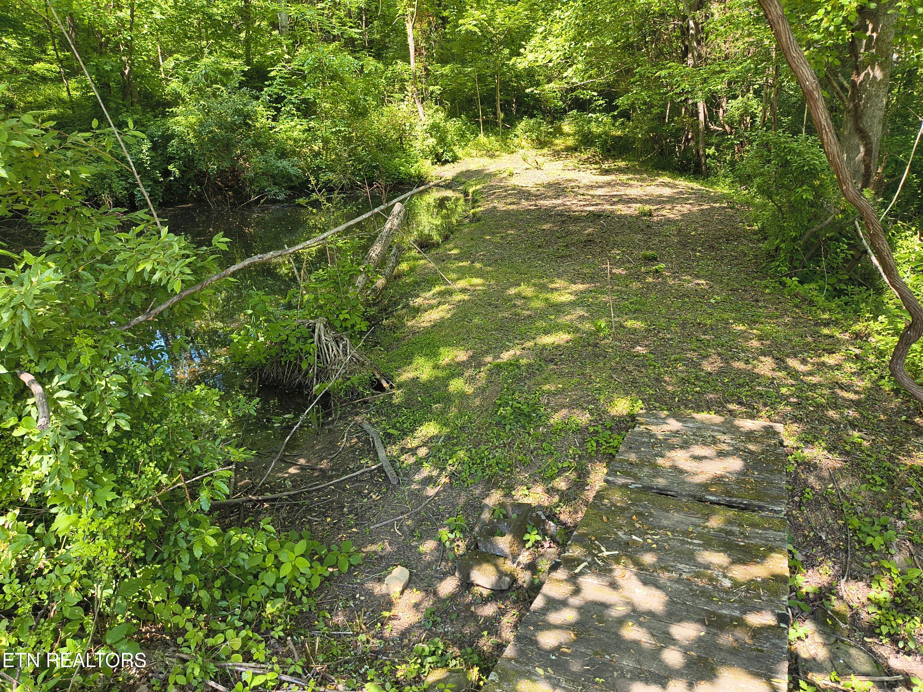 3552 Straight Fork Road Huntsville, TN 37756 - Photo 11 of 44 1000002822