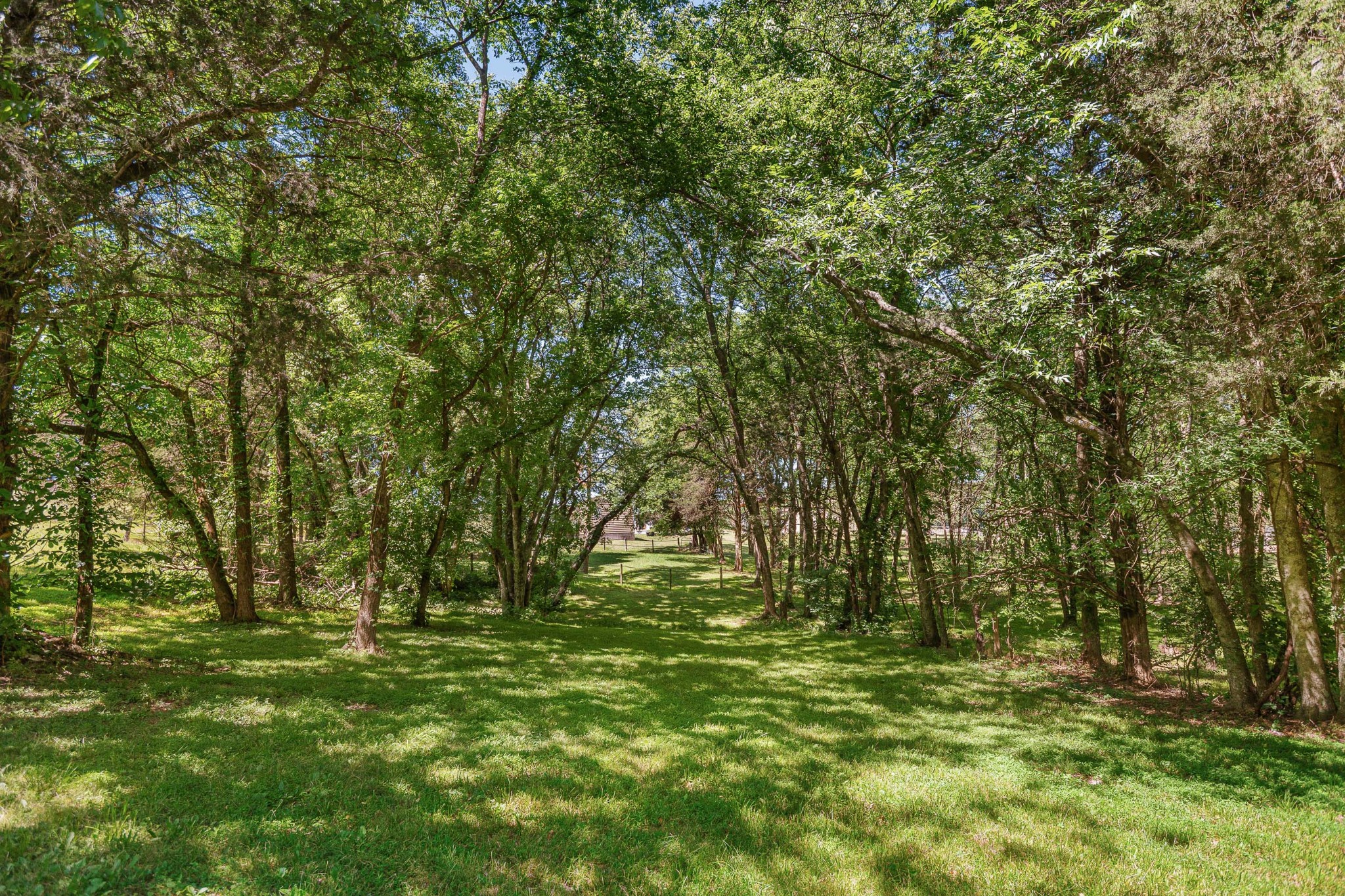 642 Beach Bottom Road Watertown, TN 37184 - Photo 47 of 48 a view of outdoor space with trees all around