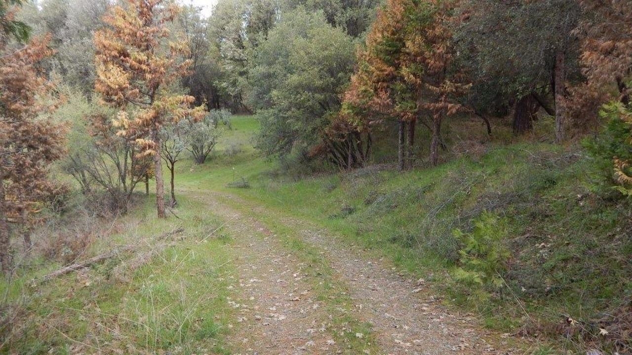 52450 Pettitt Road Oakhurst, CA 93644 - Photo 5 of 10 Gallery Image 5