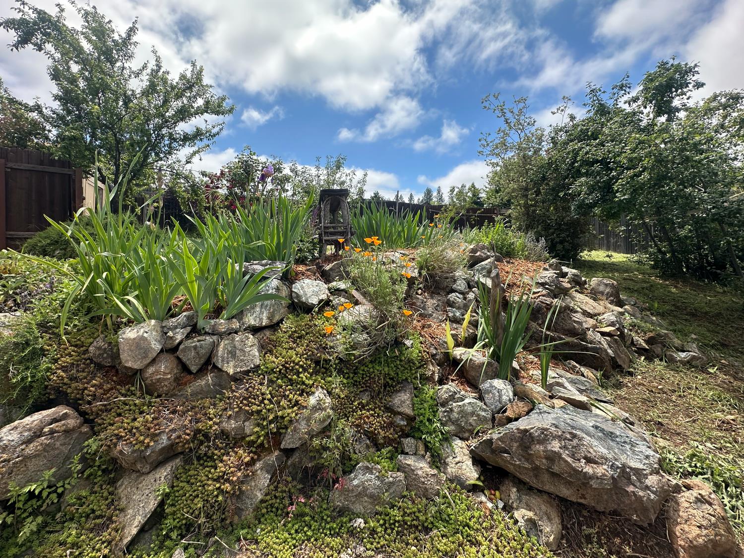970 Slate Creek Road Grass Valley, CA 95945 - Photo 25 of 45