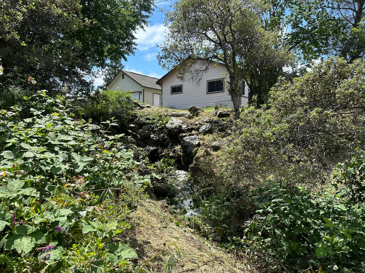 970 Slate Creek Road Grass Valley, CA 95945 - Photo 4 of 45