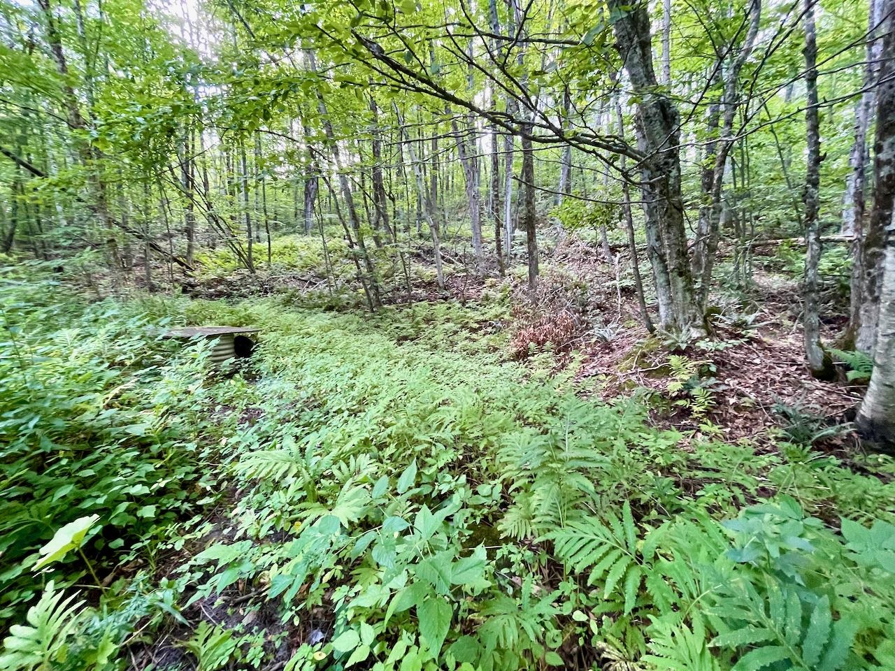 2718 Camels Hump Road Duxbury, VT 05676 - Photo 5 of 9 Gallery Image 5