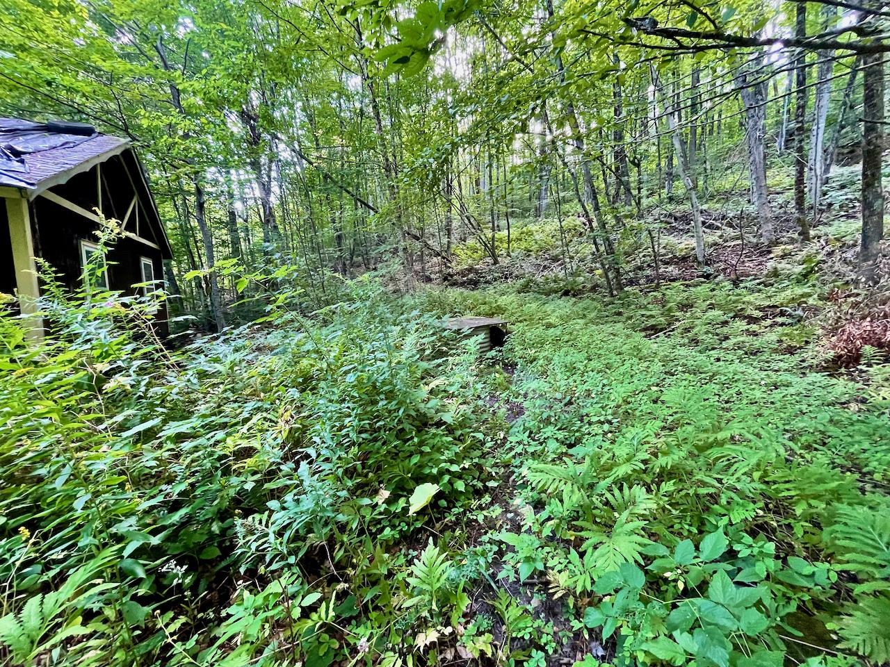2718 Camels Hump Road Duxbury, VT 05676 - Photo 6 of 9 Gallery Image 6