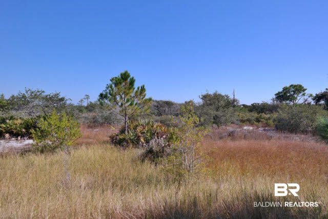 9357 Galion Walk Gulf Shores, AL 36542 - Photo 19 of 29 view from screened