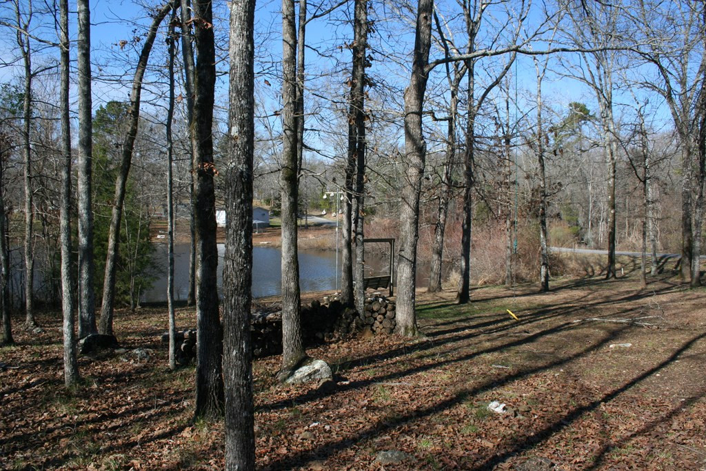 1320 Trulock Road Lincolnton, GA 30817 - Photo 19 of 24