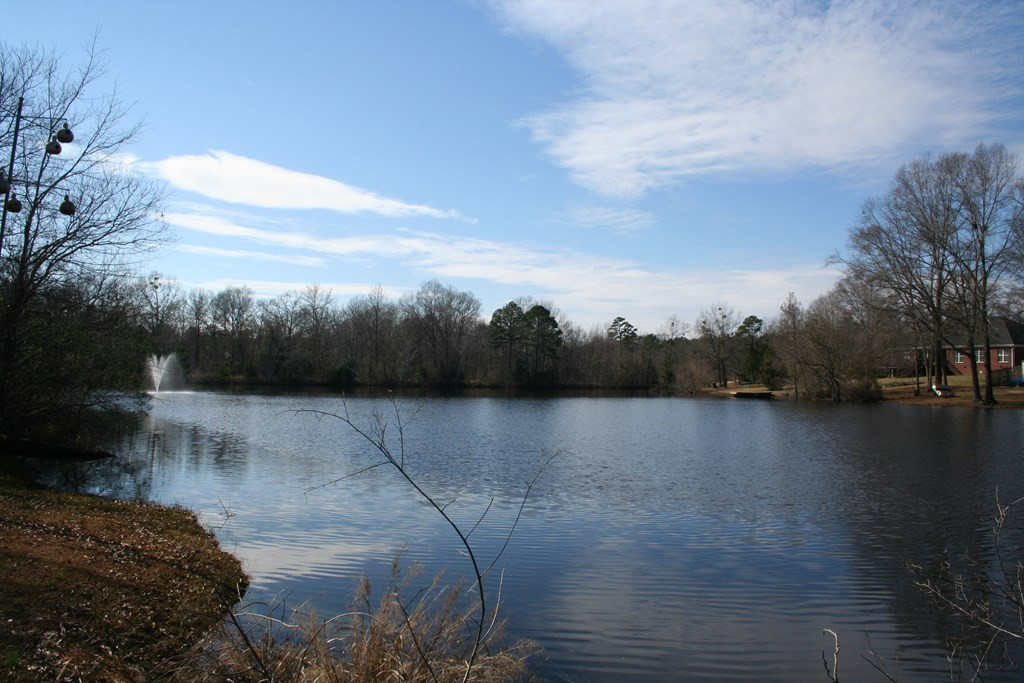 1320 Trulock Road Lincolnton, GA 30817 - Photo 22 of 24