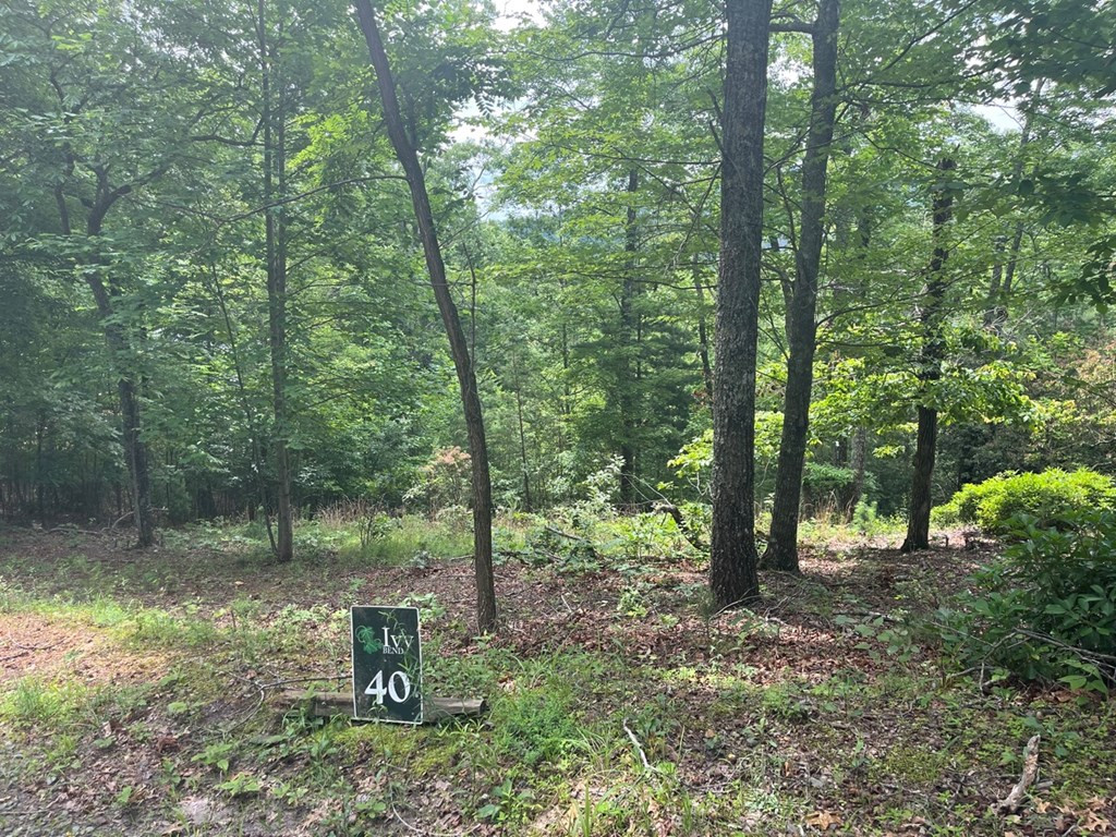 Lot 40 Burger Road Murphy, NC 28906 - Photo 3 of 3