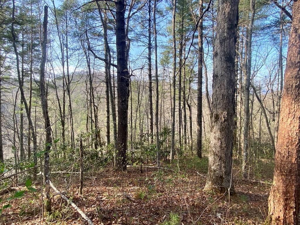 96 Whetstone Road Sevierville, TN 37862 - Photo 1 of 20