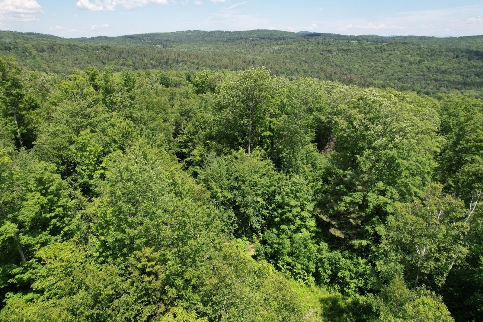 0 North County Road Groton, VT 05046 - Photo 11 of 15