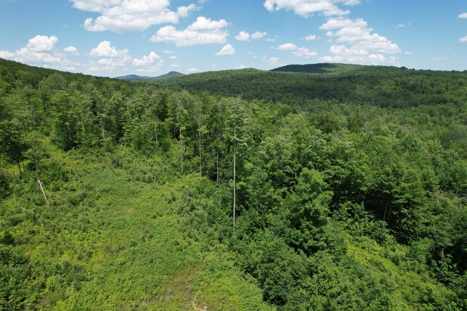 0 North County Road Groton, VT 05046 - Photo 8 of 15