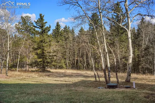 $395,000 | 310 Ridge Road, Divide, CO 80814