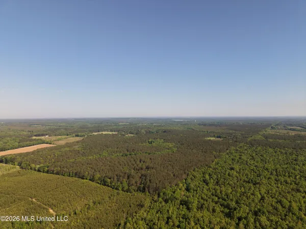 $324,000 | 46 Highway Caledonia Ms 38851, Woodland, MS 39776