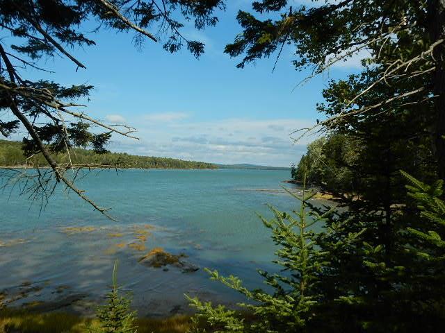 536 Grand Marsh Bay Road Corea, ME 04624 - Photo 1 of 34 Photo