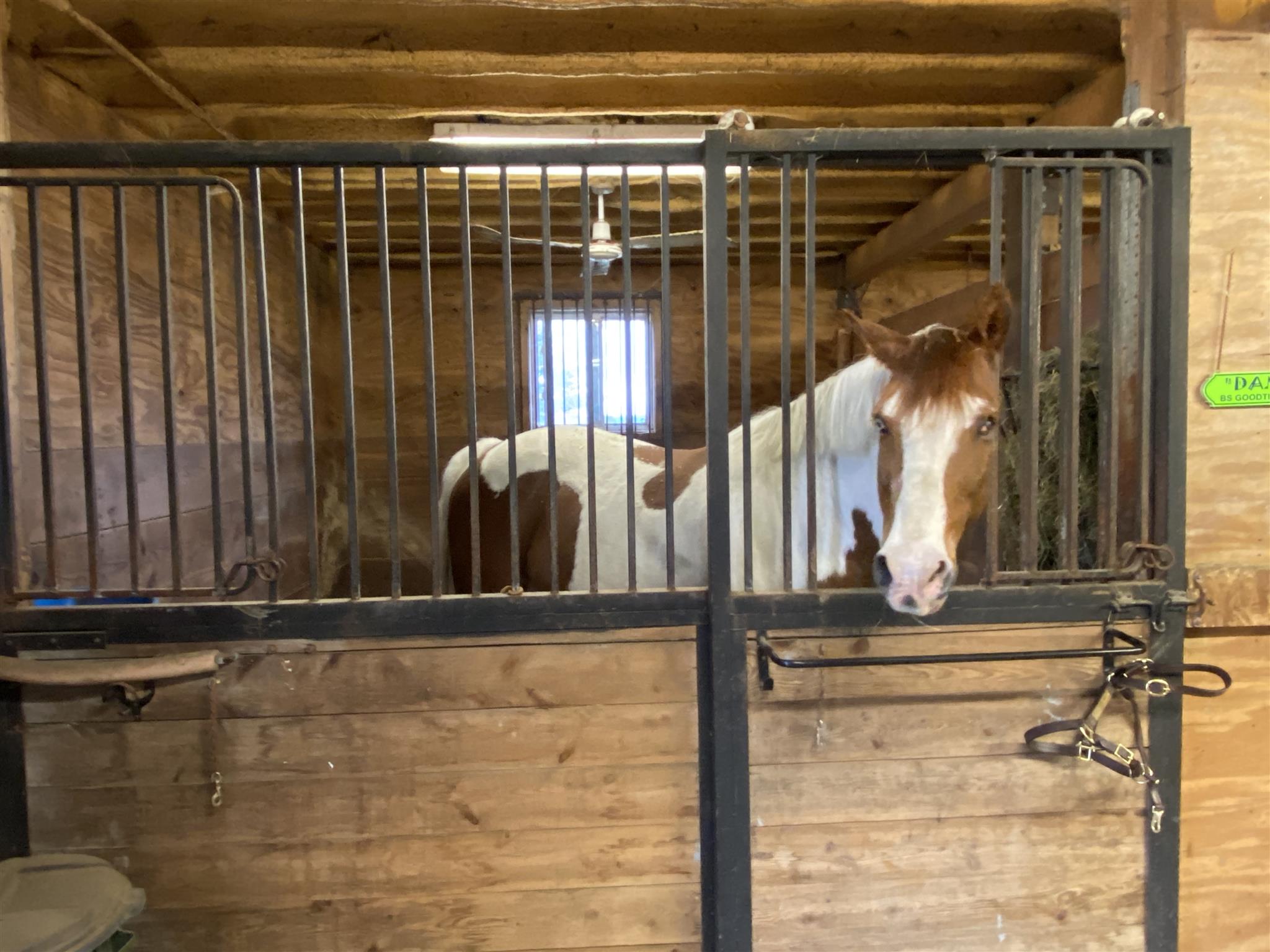 782 Whittier Road Derby, VT 05830 - Photo 32 of 38 Gallery Image 32