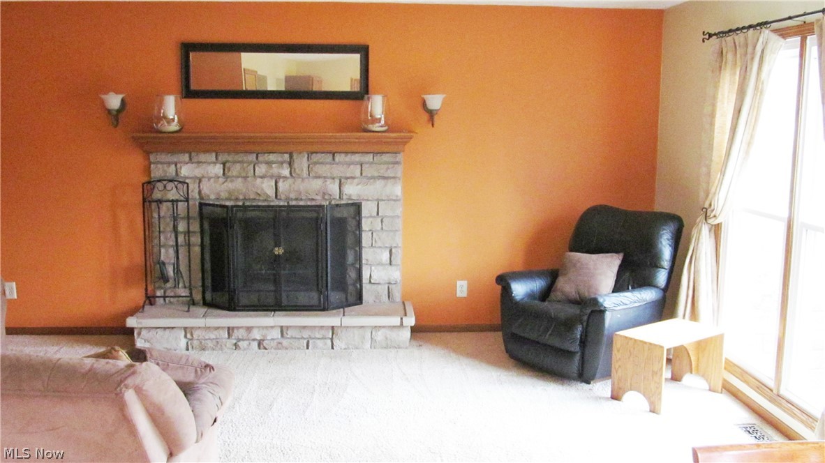 121 Joshua Drive Rittman, OH 44270 - Photo 5 of 32 Gas FRPL