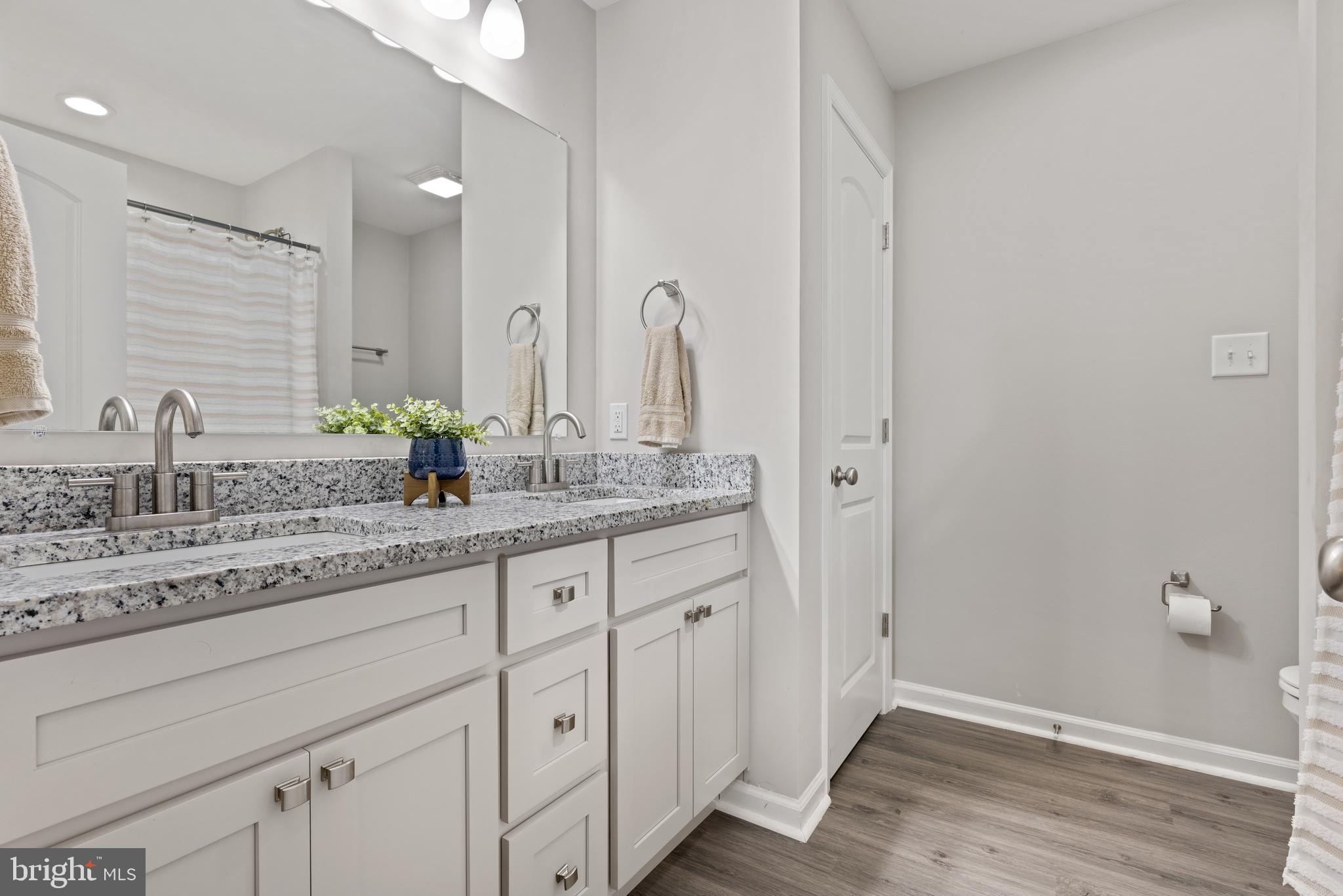 61 MDG Court Berkeley Springs, WV 25411 - Photo 17 of 47 Double Sinks!