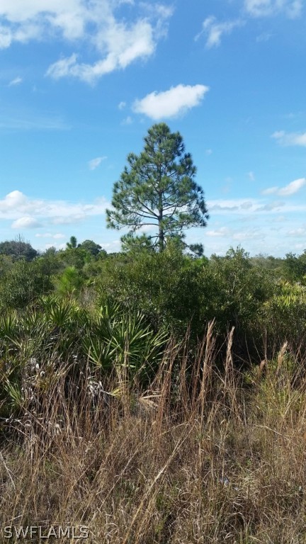 50050 Bermont Road Punta Gorda, FL 33982 - Photo 1 of 3 Gallery Image 1