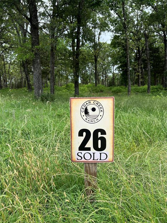 7323 Ranch Oaks Trail Eustace, TX 75124 - Photo 6 of 6 a sign that is sitting on a green field with plants and large trees